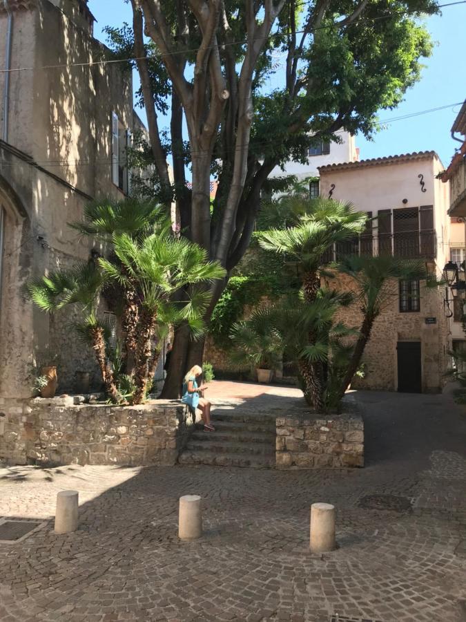 Antibes Tres Belle Situation ! Apartment Bagian luar foto