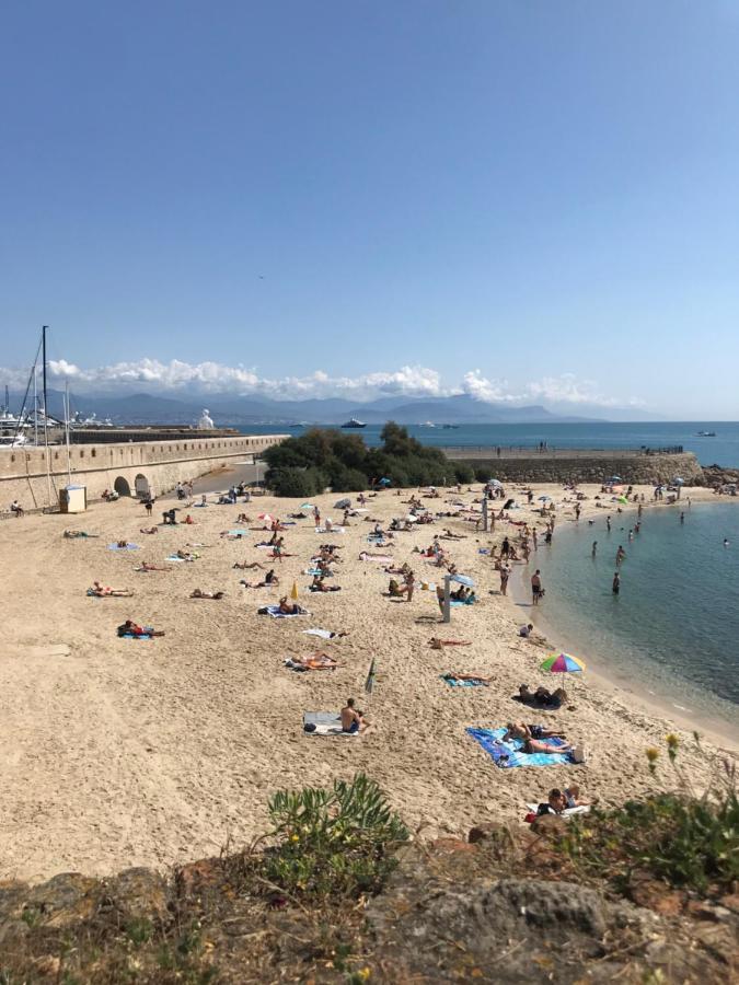Antibes Tres Belle Situation ! Apartment Bagian luar foto