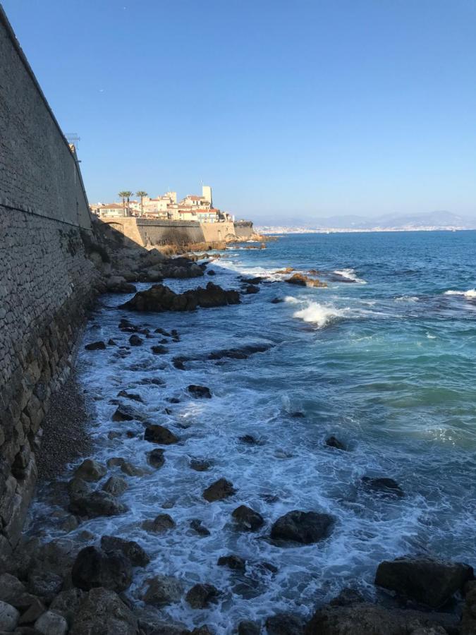 Antibes Tres Belle Situation ! Apartment Bagian luar foto